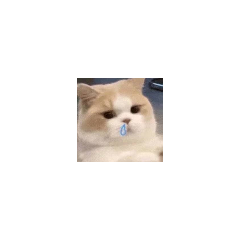 哈