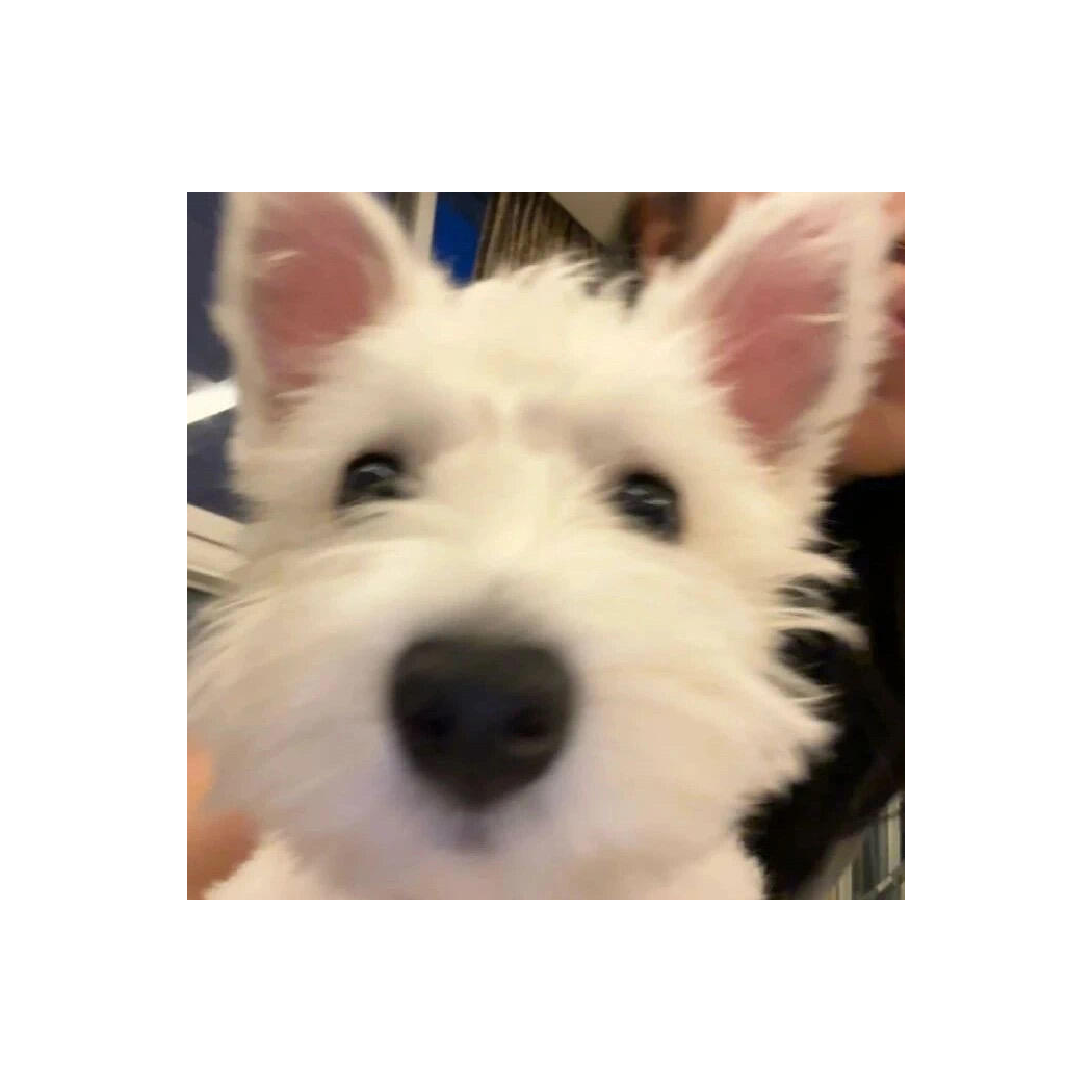 不是吧哥们儿！