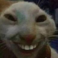 易梦影