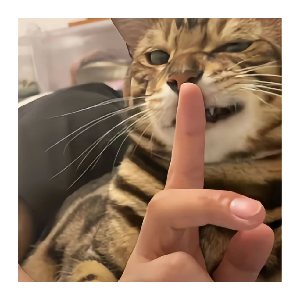 咕咕