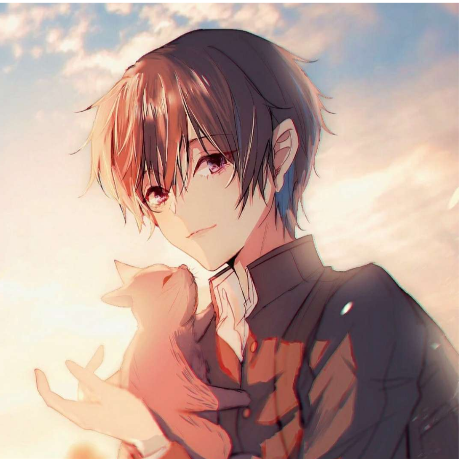 拾梦少年