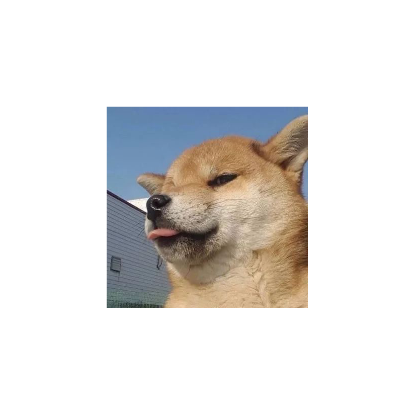 对方正在输入中