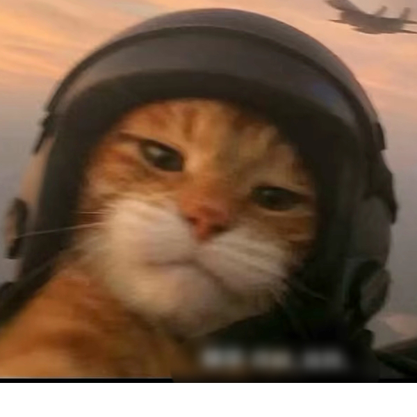 。。。