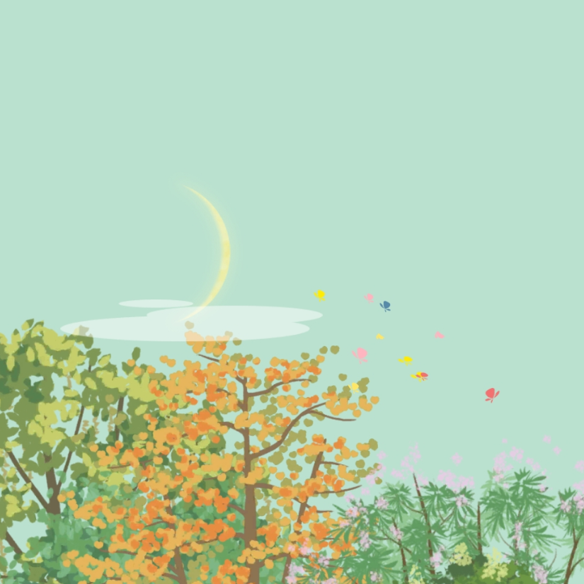 木瓜