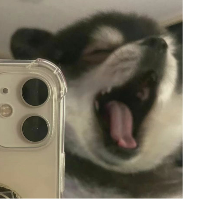 心无