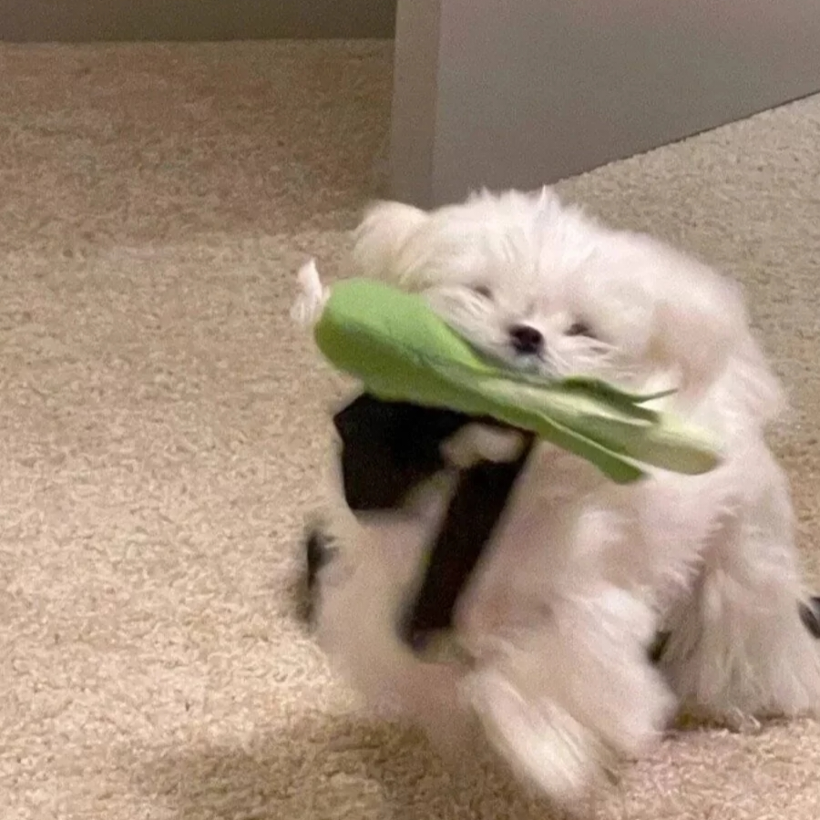 啦啦啦啦