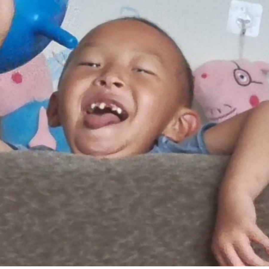 勇敢牛牛不怕困难