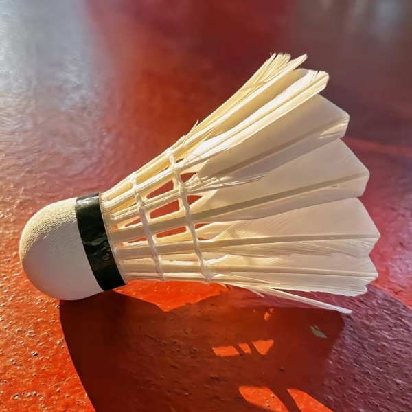 Badminton