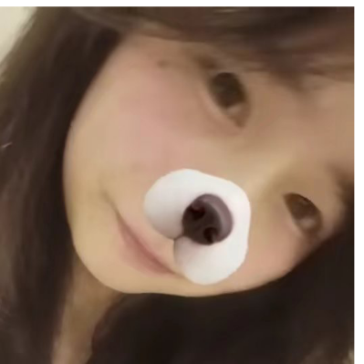 祁奈