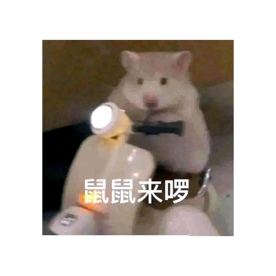 不玩游戏