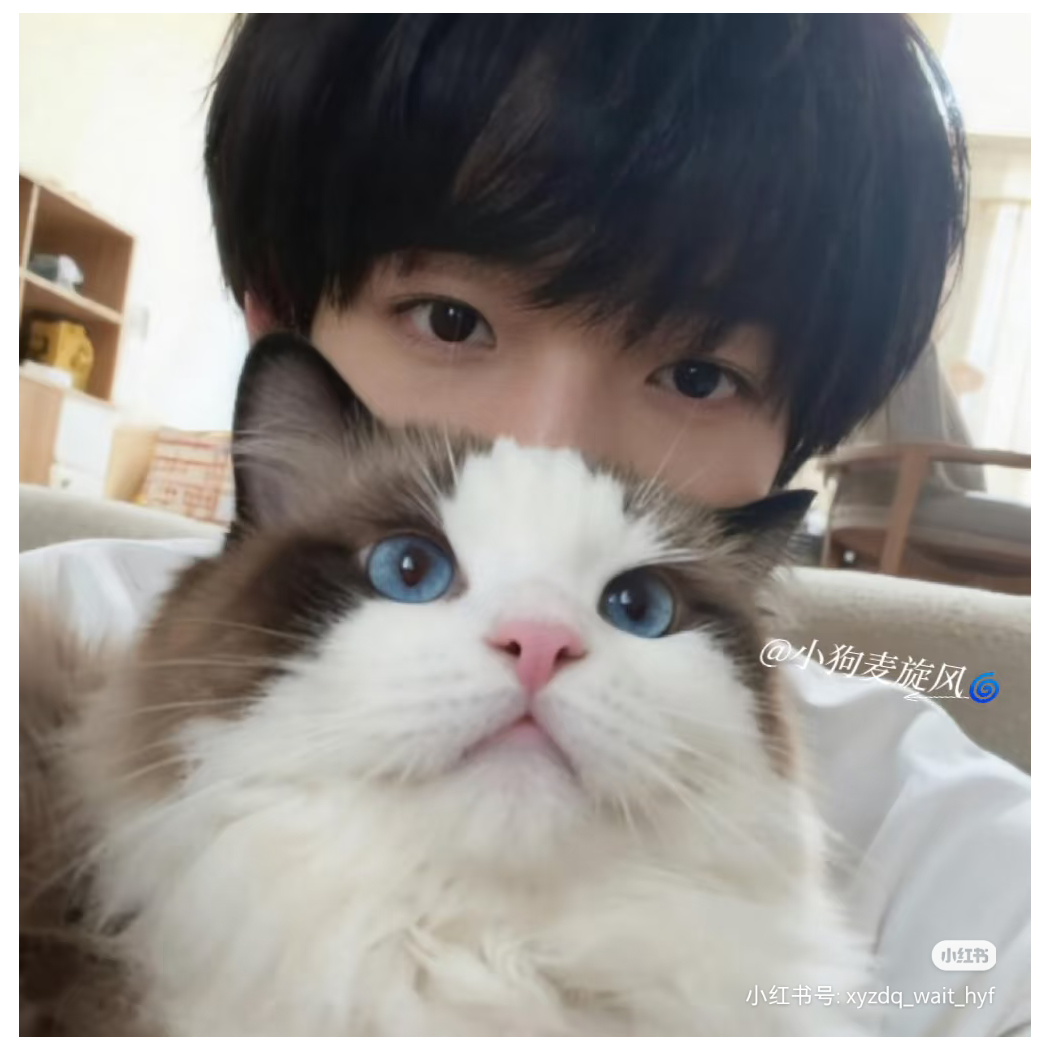 呆小玖°