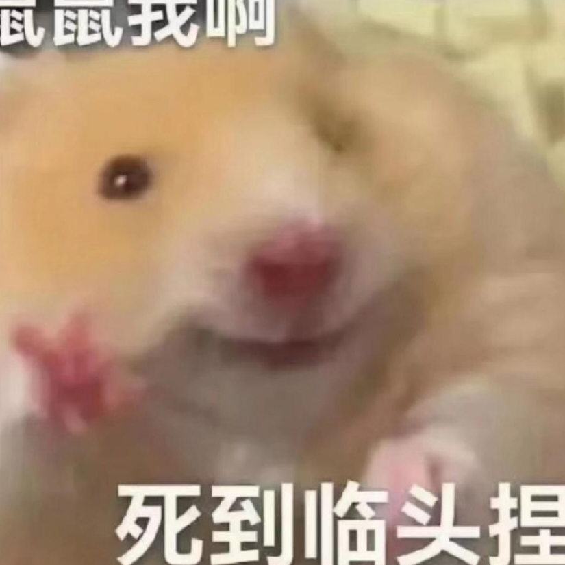 空格想当小黑子