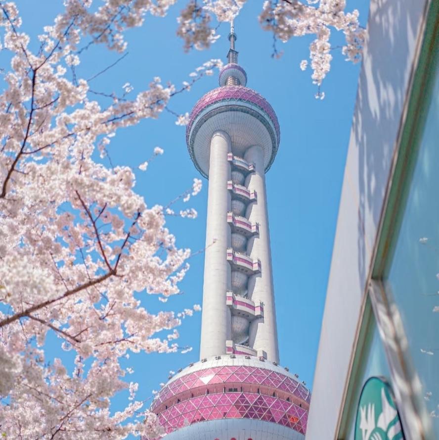 洛阳.
