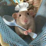 鼠鼠的爆米花