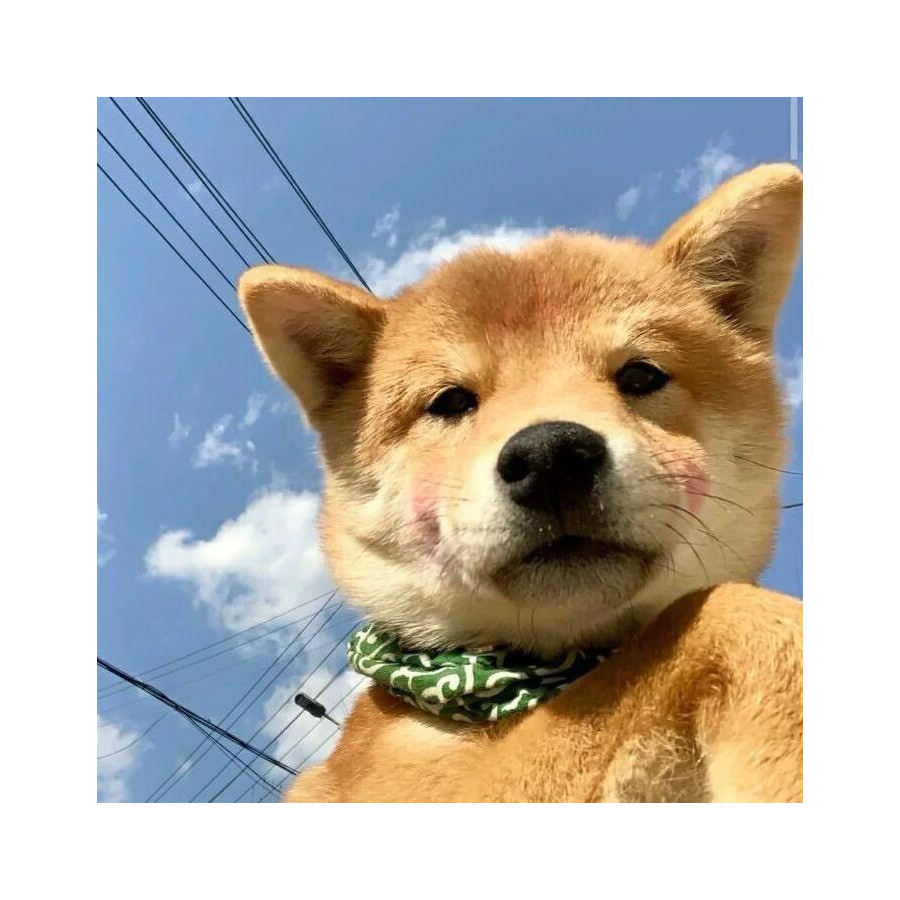 好吧