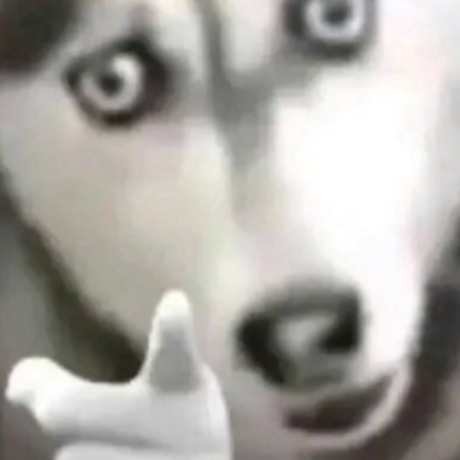     114514