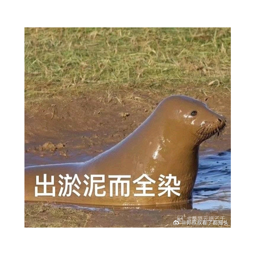 浪浪山山里红