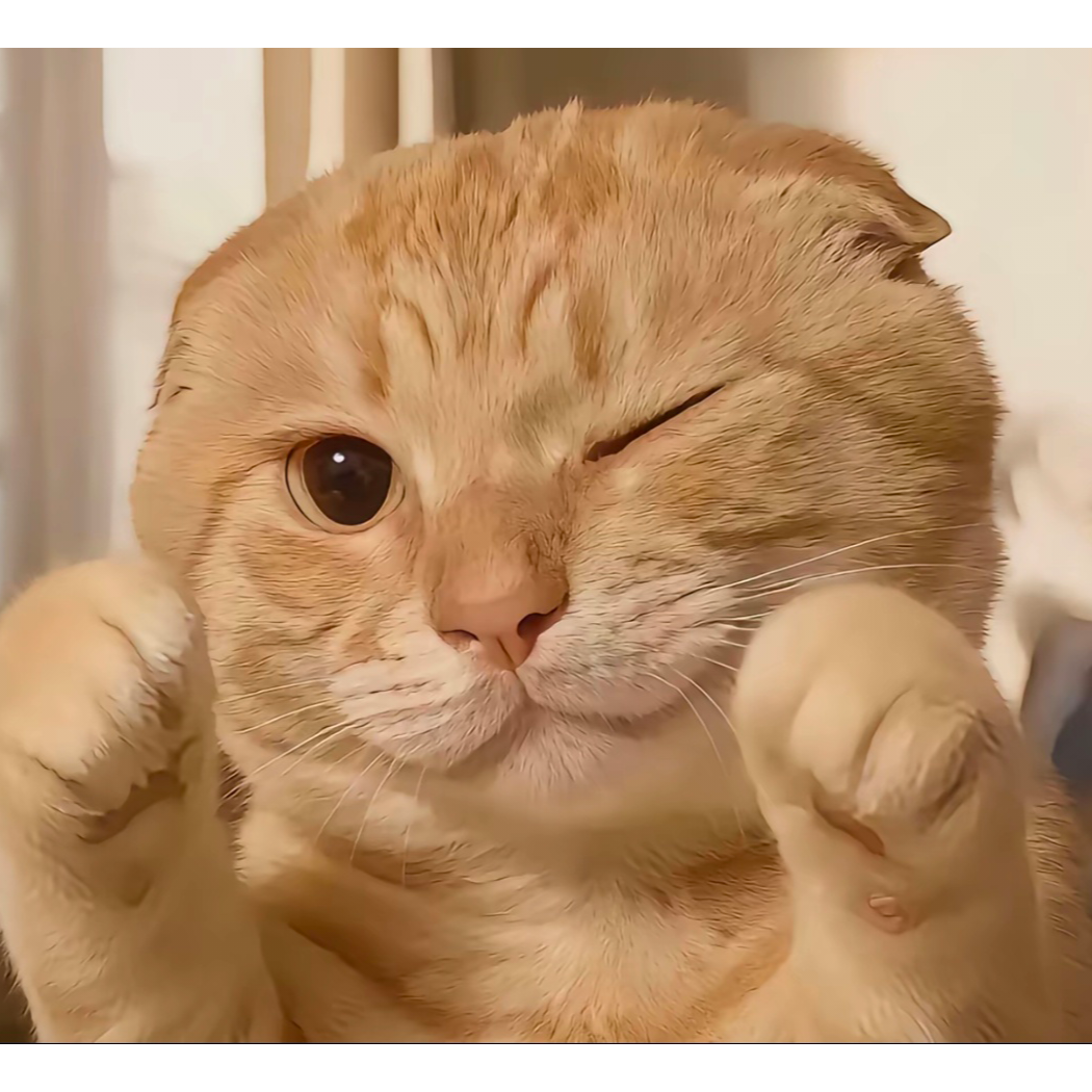 璃月港的一枝花