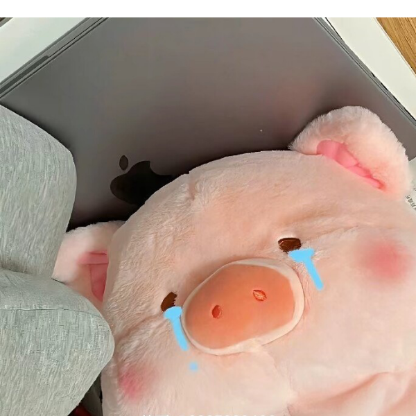 小猪