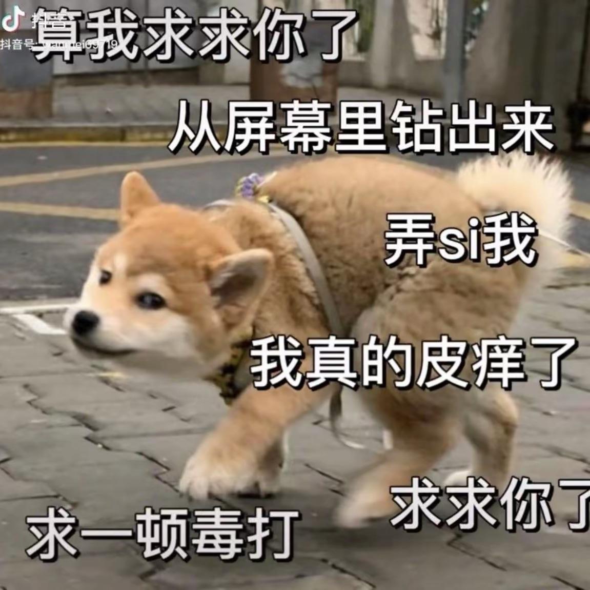 引力波