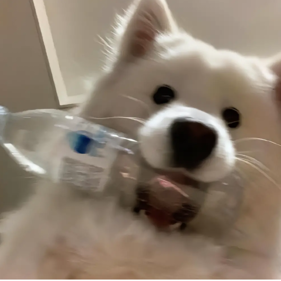 亦长久