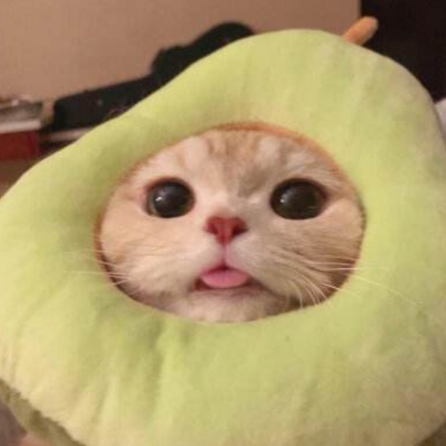 丼