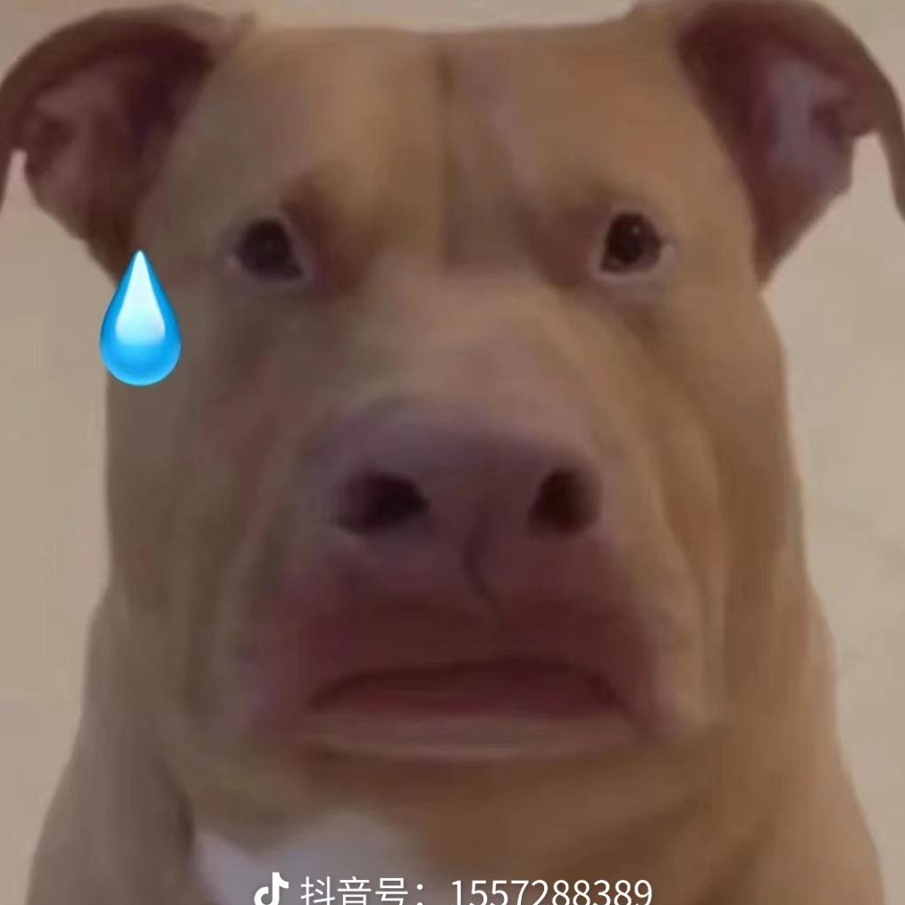 阿泽