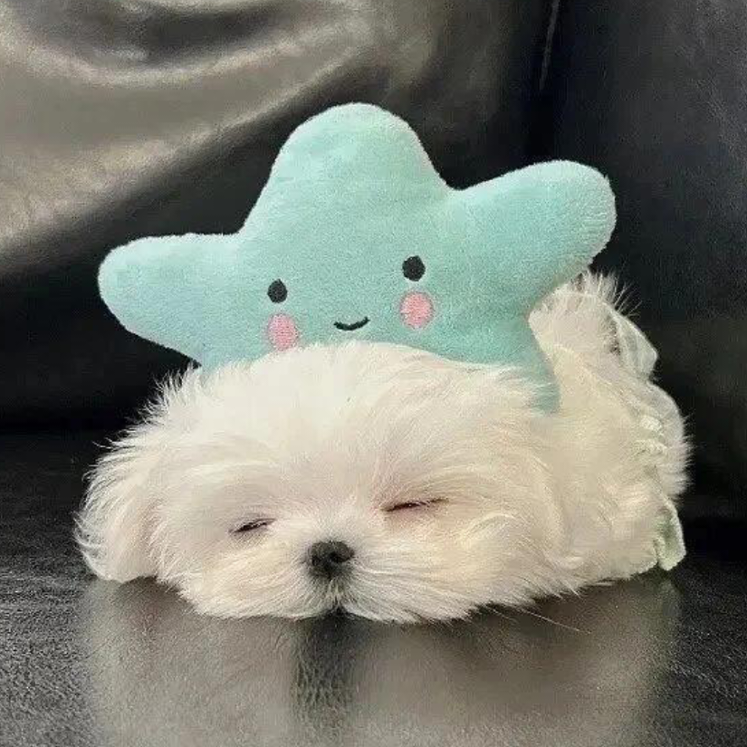 唐瓷