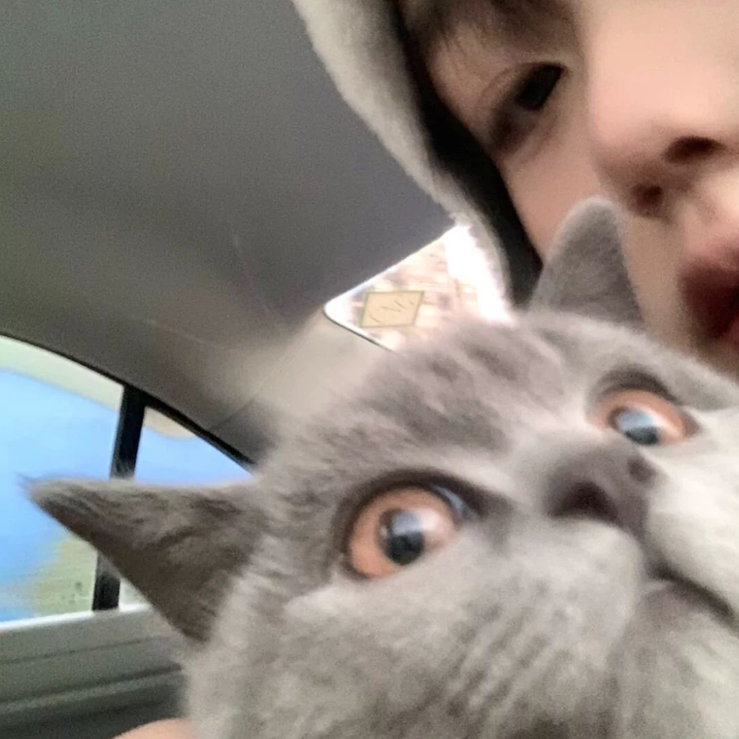 稳