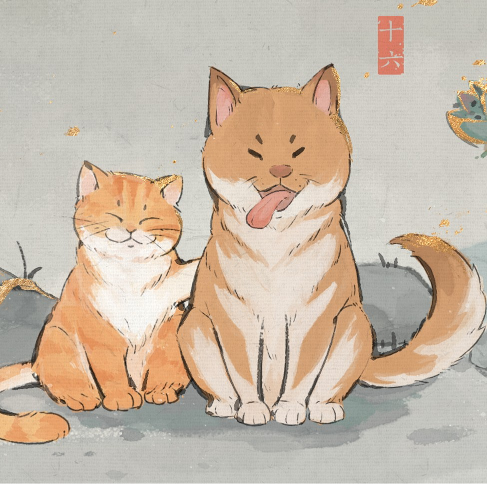 橘与黄