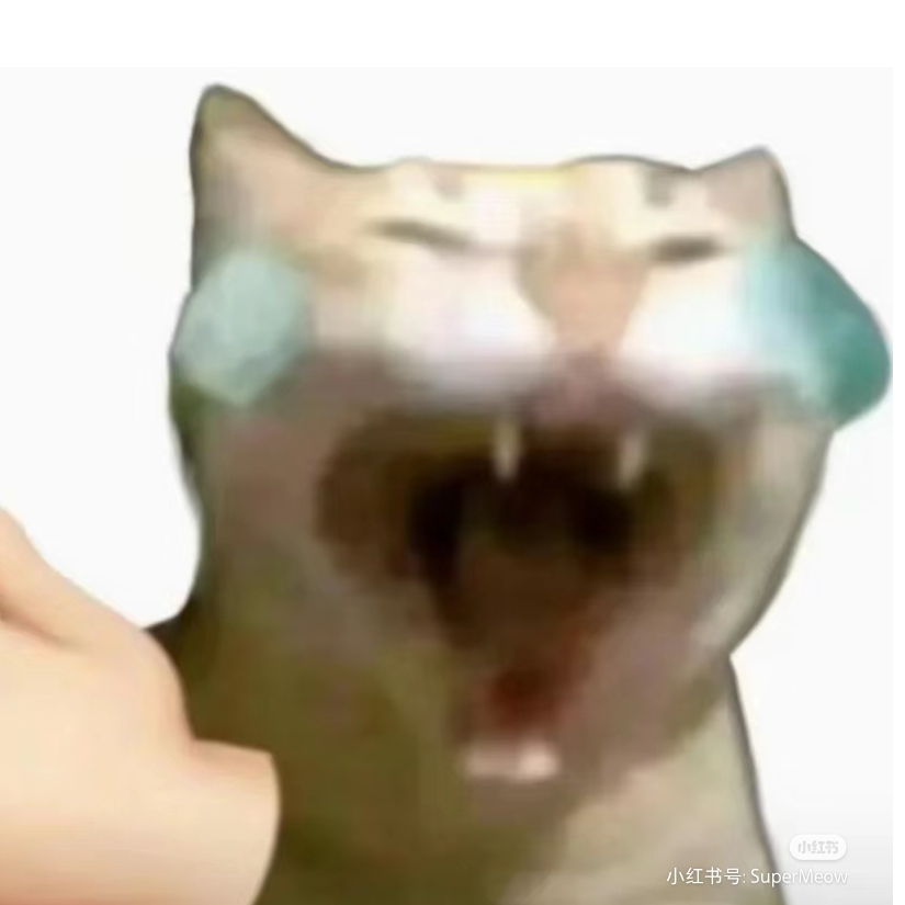 起床了没