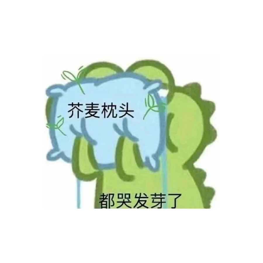 浴室没有门