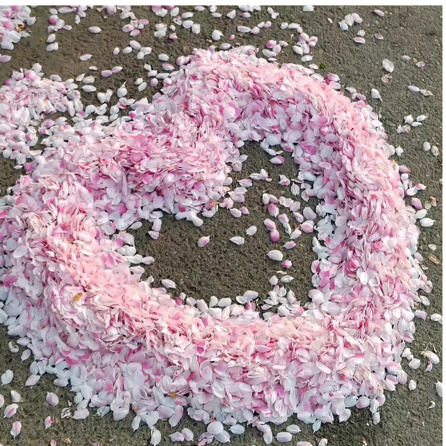 多趣