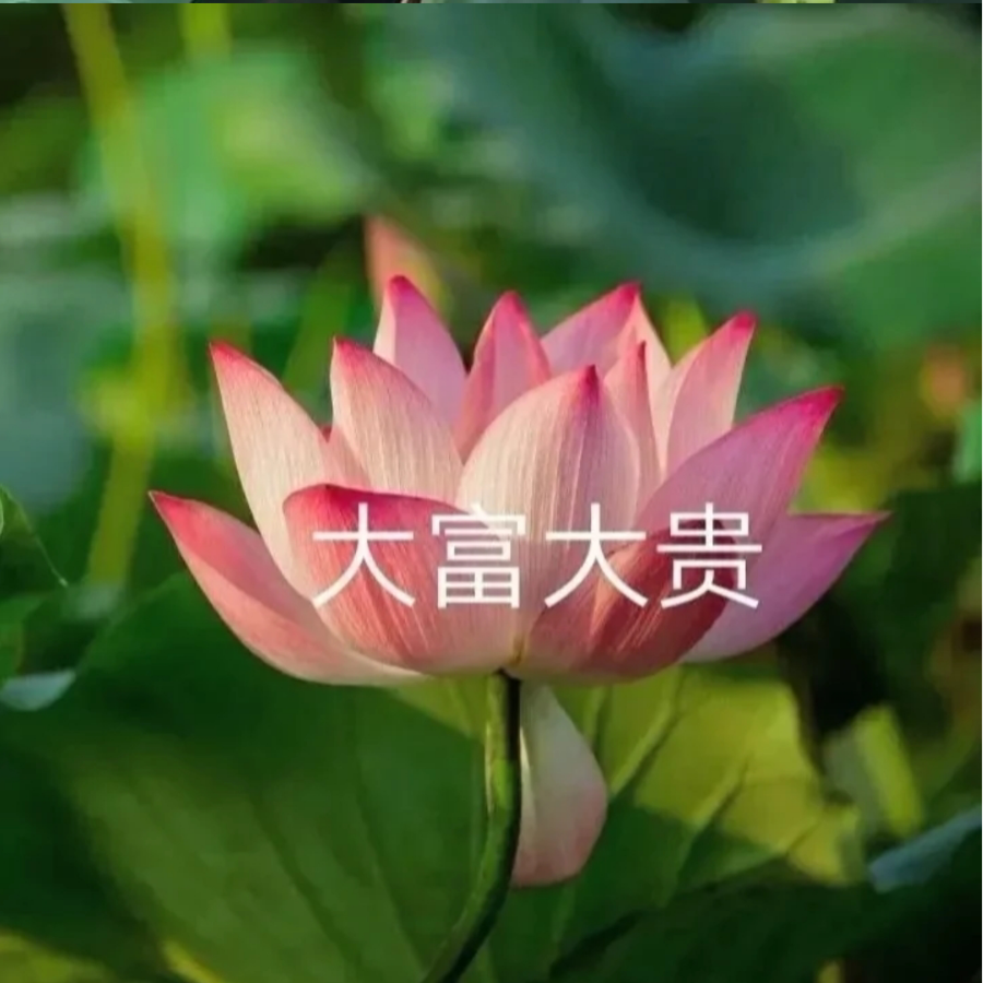 最香的肠