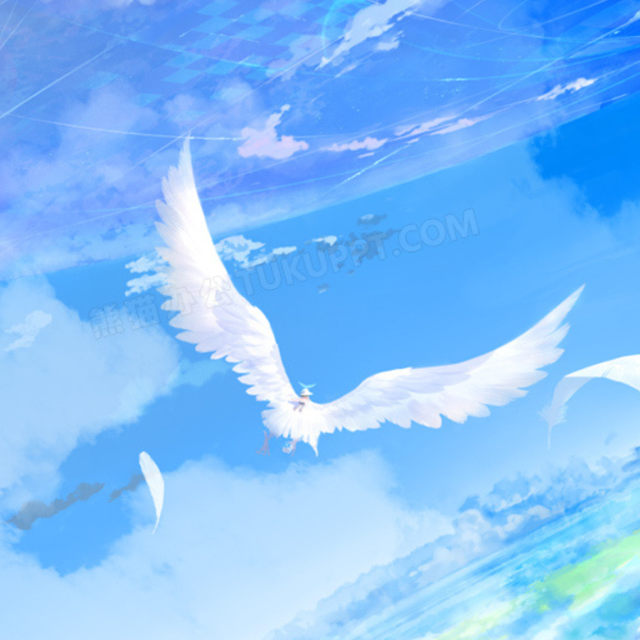 ZN·Fay