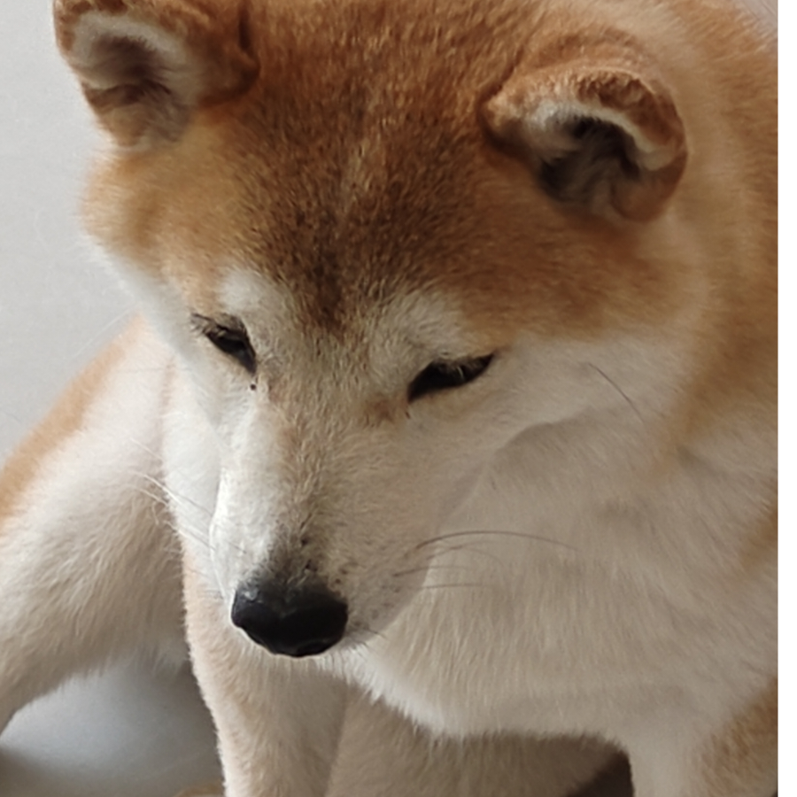 佳佳啊啊啊