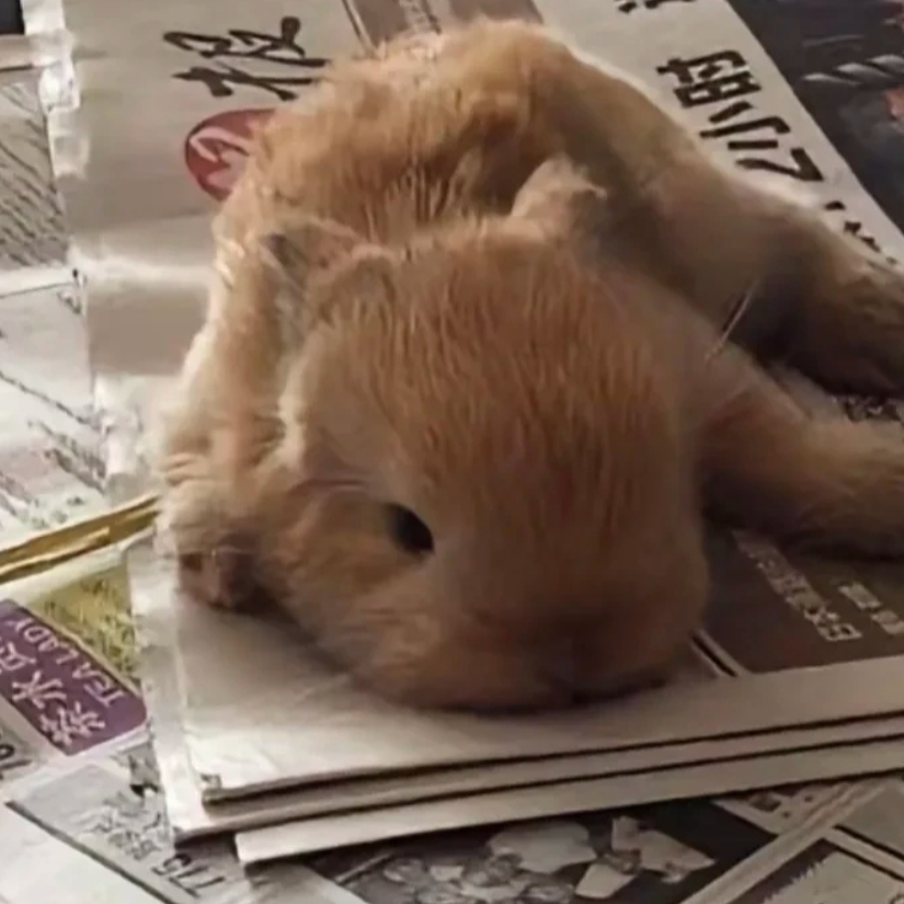 恍如隔世
