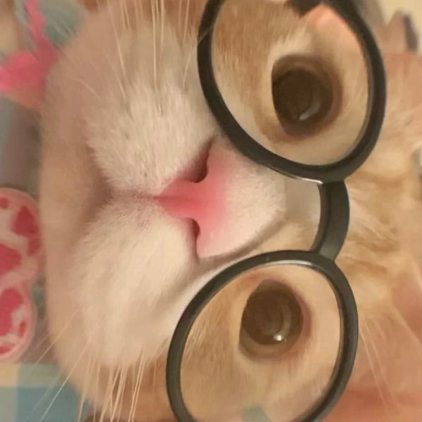张涵