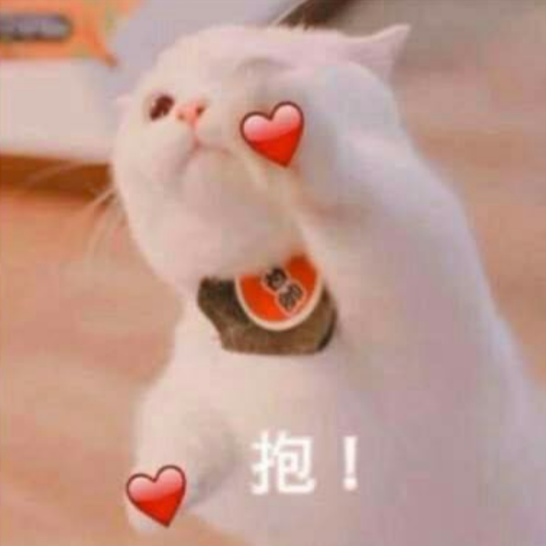 小jerry