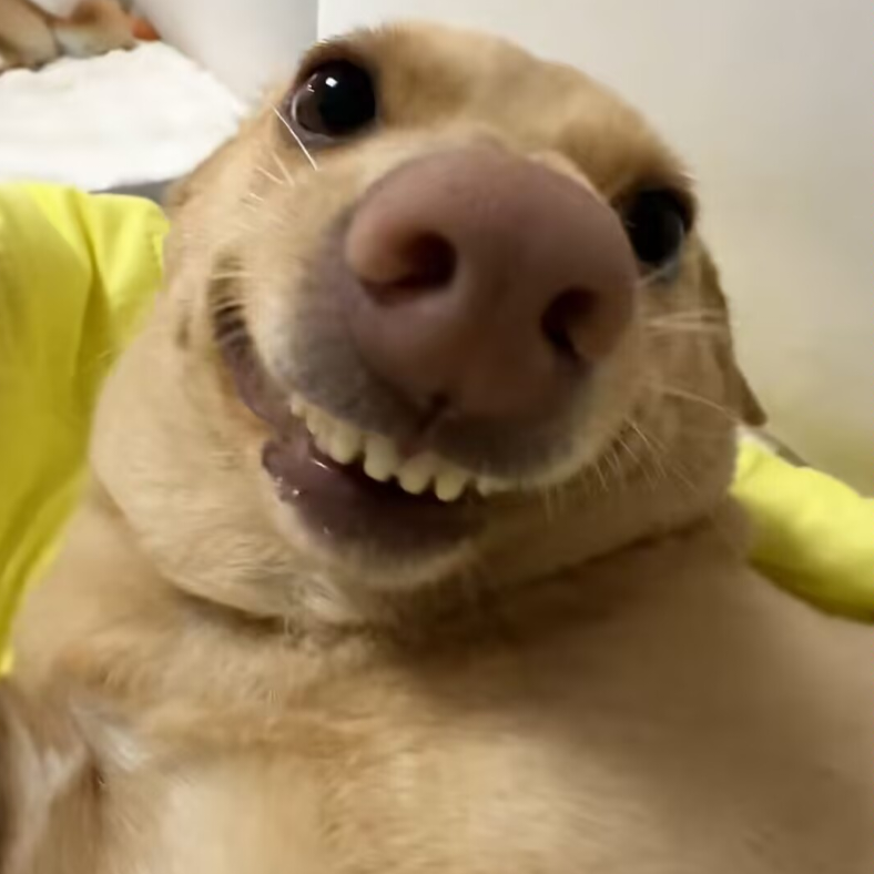 手机用户55805351