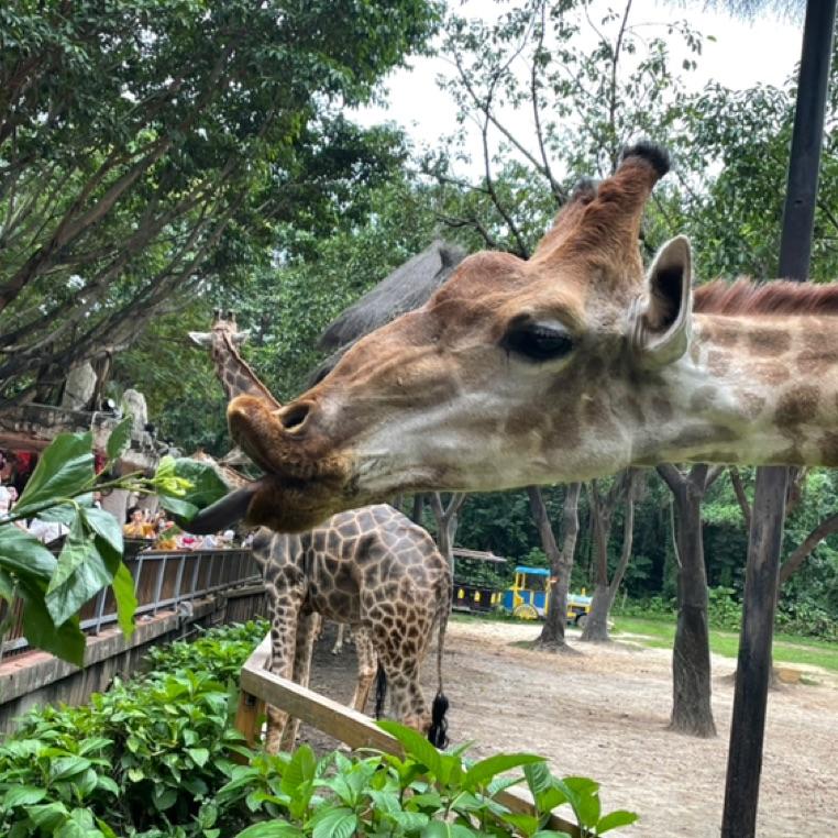 吾乃白大人是也