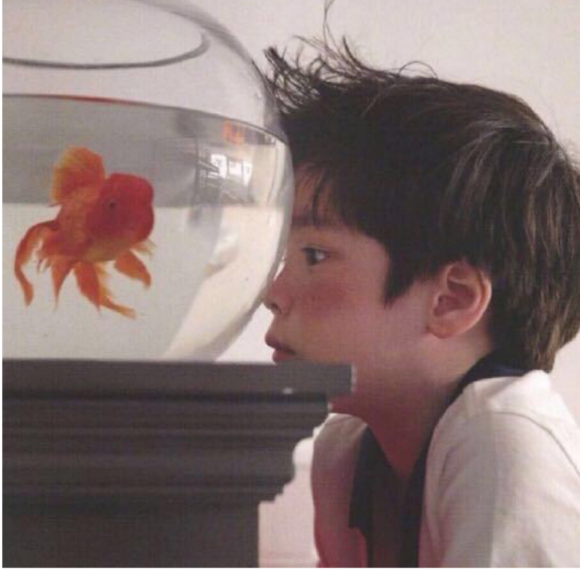 汽水