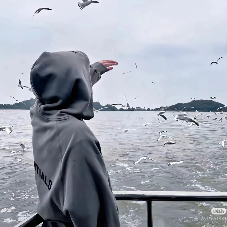 燕飞云