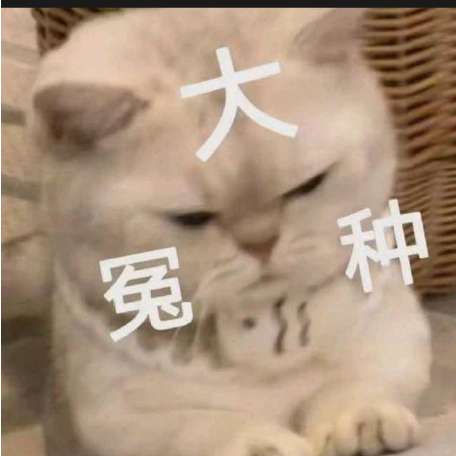 皖琪