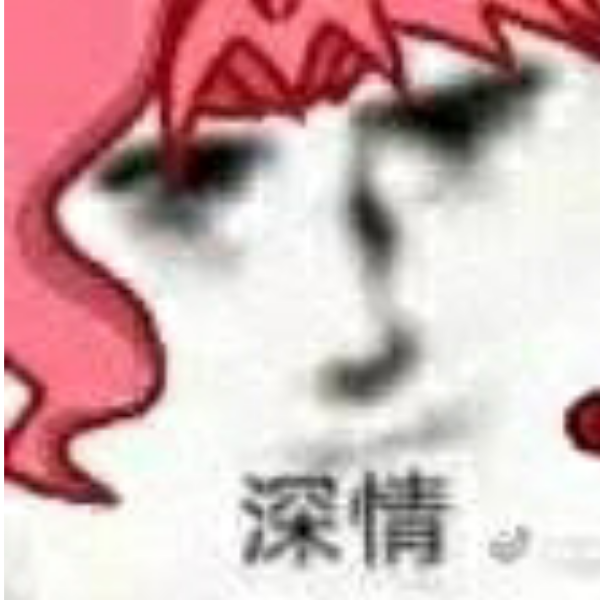 老阴游人
