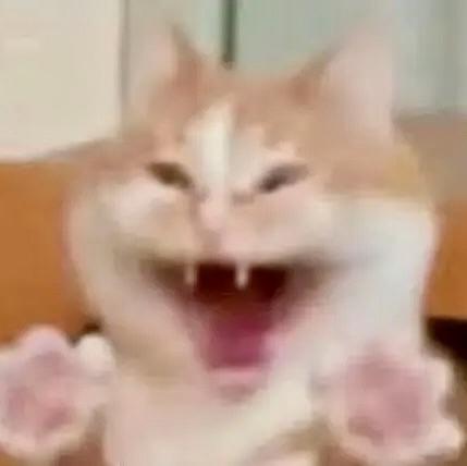 YY