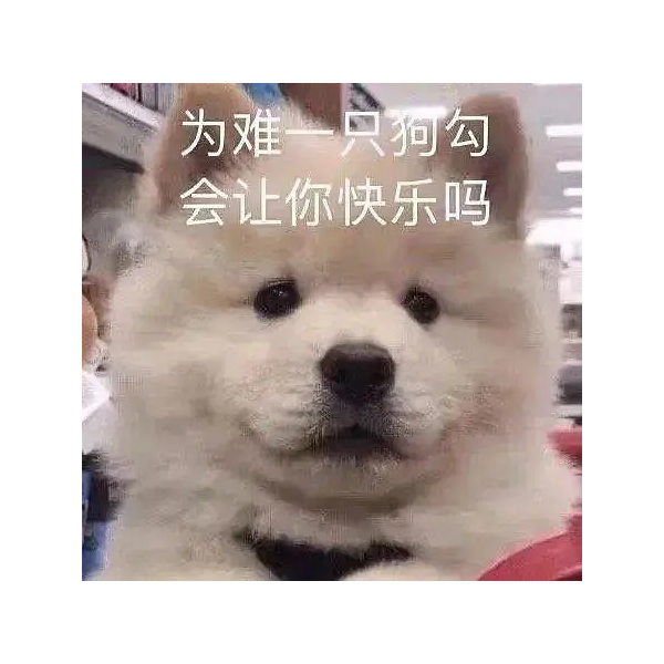 叶肖萧