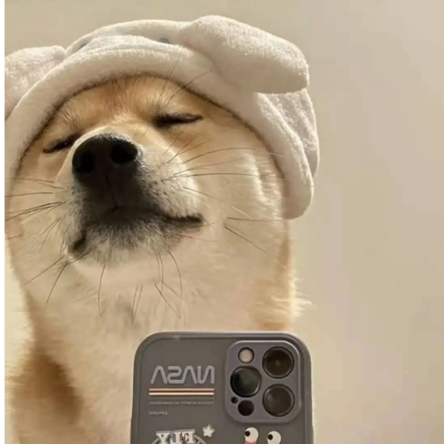 她曾是我的破绽