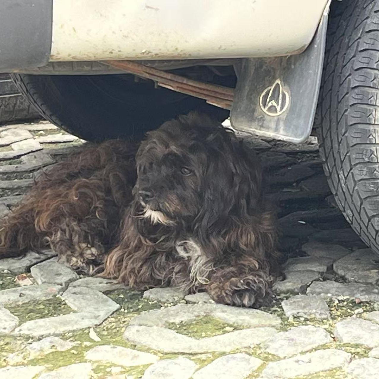 飞蛾社社长_小飞蛾