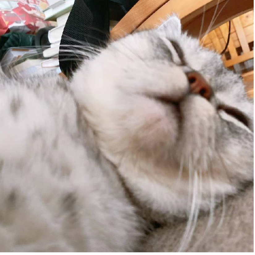 am